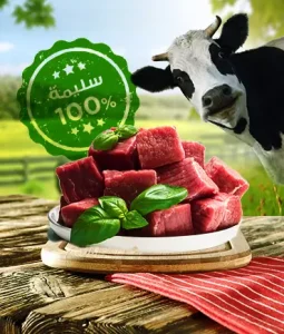 ماشية