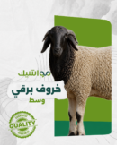خروف برقي