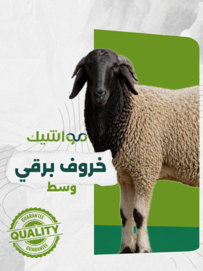 خروف برقي